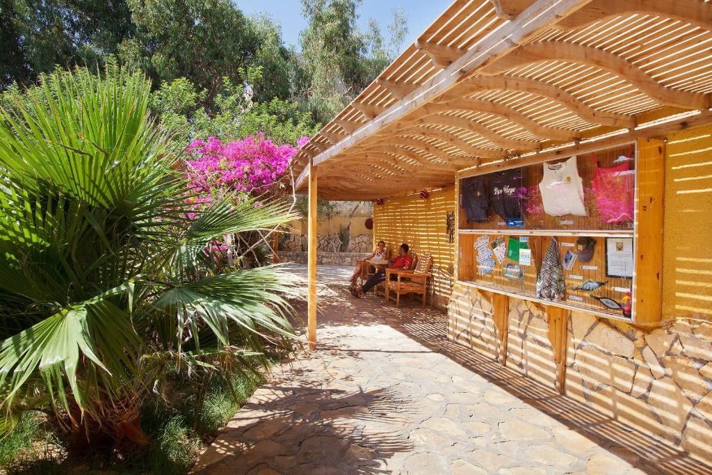 Hotel Dive Urge Dahab Exteriér fotografie